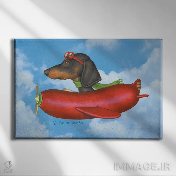 تابلو داشهوند مشکی در هواپیمای سوسیسی با پسزمینه آسمان اثر دنی گوردون - نمای روبهرو روی دیوار