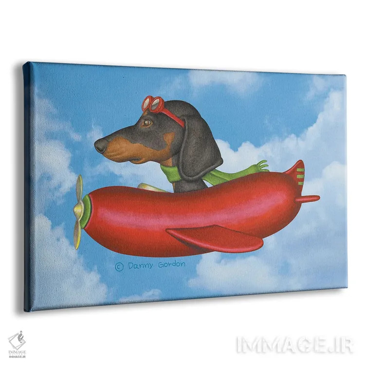 تابلو داشهوند مشکی در هواپیمای سوسیسی با پسزمینه آسمان اثر دنی گوردون - نمای پرسپکتیو محصول