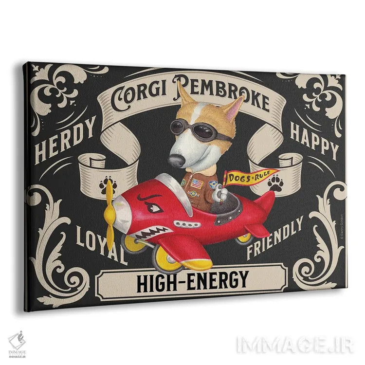 تابلو تمبر افقی کورگی در هواپیمای قرمز اثر دنی گوردون - نمای پرسپکتیو محصول