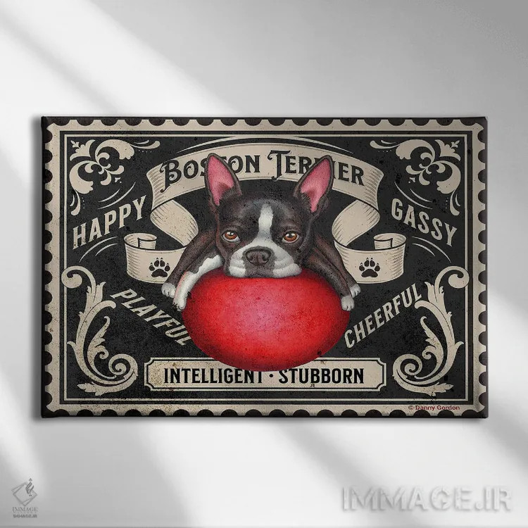 تابلو تمبر بوستون تریر با توپ قرمز اثر دنی گوردون - نمای روبهرو روی دیوار