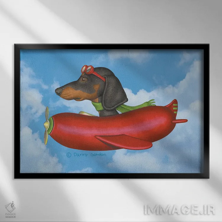 تابلو داشهوند مشکی در هواپیمای سوسیسی با پسزمینه آسمان اثر دنی گوردون - نمای قابدار مشکی