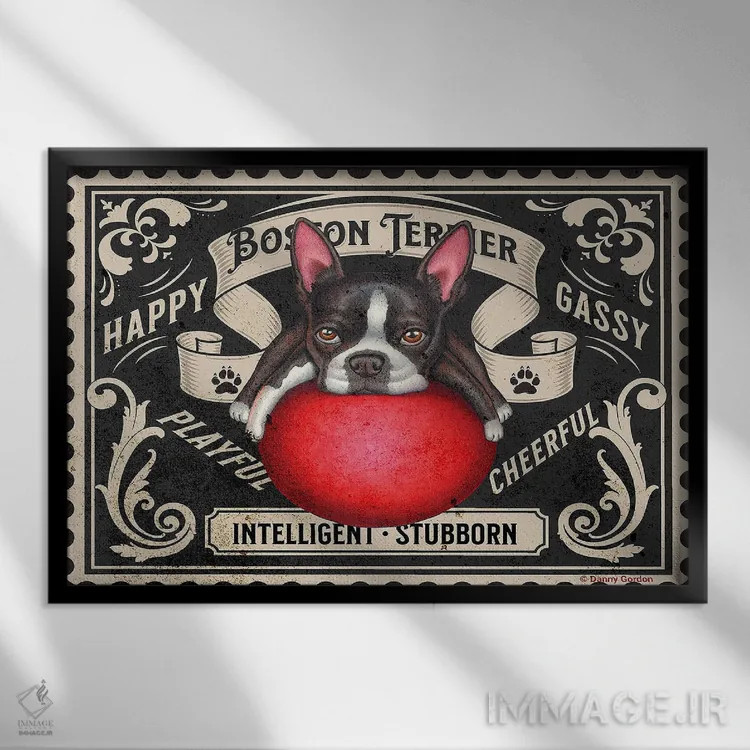 تابلو تمبر بوستون تریر با توپ قرمز اثر دنی گوردون - نمای قابدار مشکی