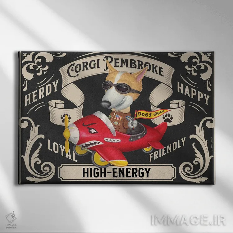 تابلو تمبر افقی کورگی در هواپیمای قرمز اثر دنی گوردون - نمای روبهرو روی دیوار