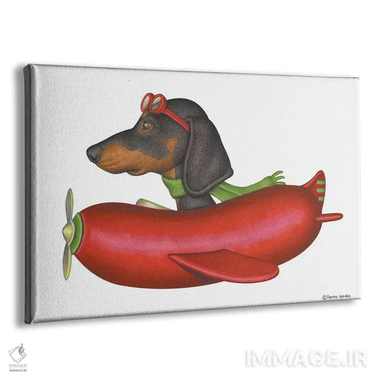 تابلو داشهوند خلبان اثر دنی گوردون - نمای پرسپکتیو محصول