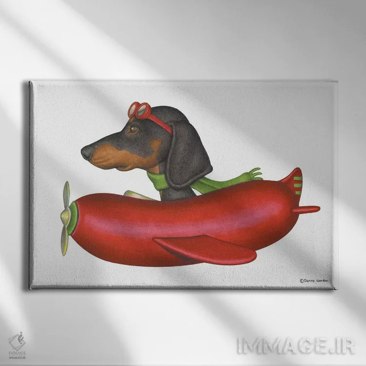 تابلو داشهوند خلبان اثر دنی گوردون - نمای روبهرو روی دیوار