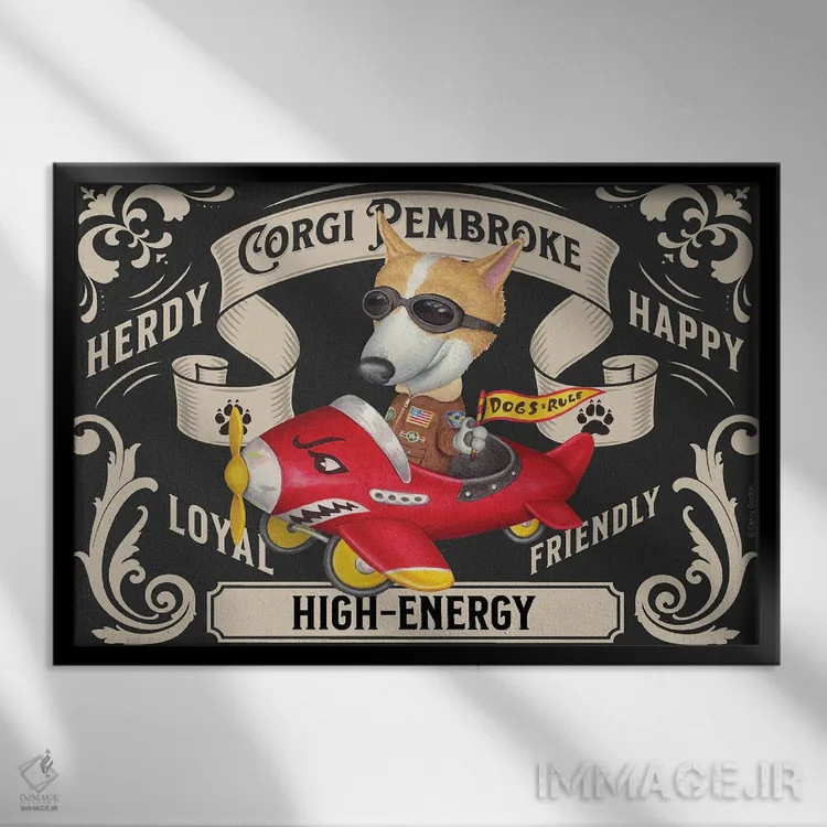 تابلو تمبر افقی کورگی در هواپیمای قرمز اثر دنی گوردون - نمای قابدار مشکی