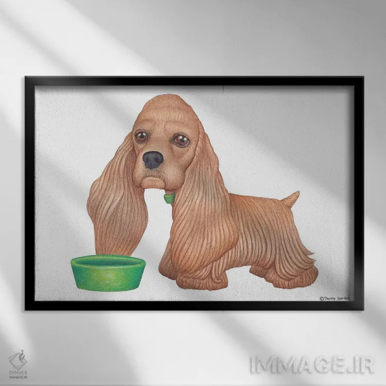 تابلو کاگر اسپانیل اثر دنی گوردون - نمای قابدار مشکی