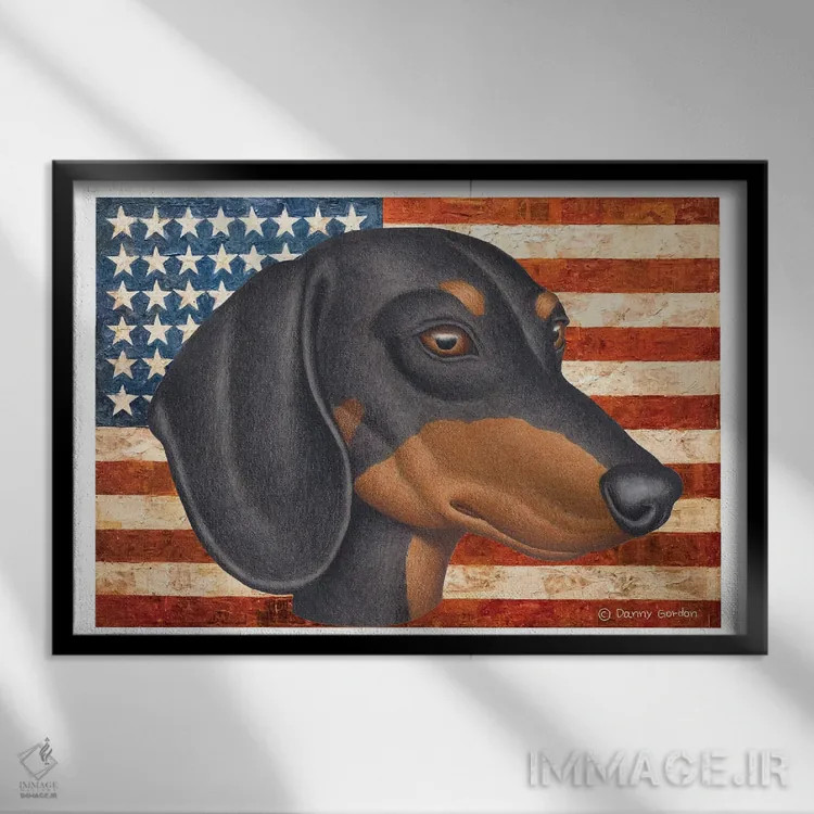 تابلو داشهوند مشکی با پرچم اثر دنی گوردون - نمای قابدار مشکی