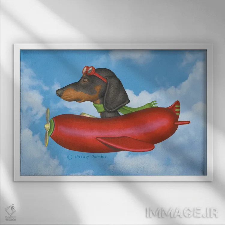 تابلو داشهوند مشکی در هواپیمای سوسیسی با پسزمینه آسمان اثر دنی گوردون - نمای قابدار سفید