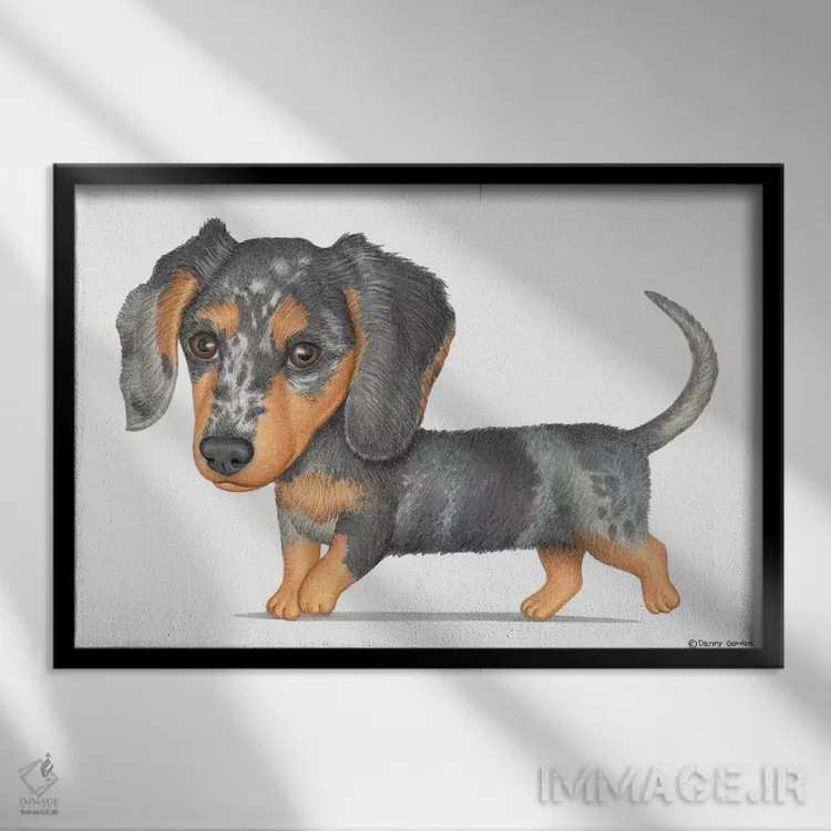 تابلو داشهوند اثر دنی گوردون - نمای قابدار مشکی