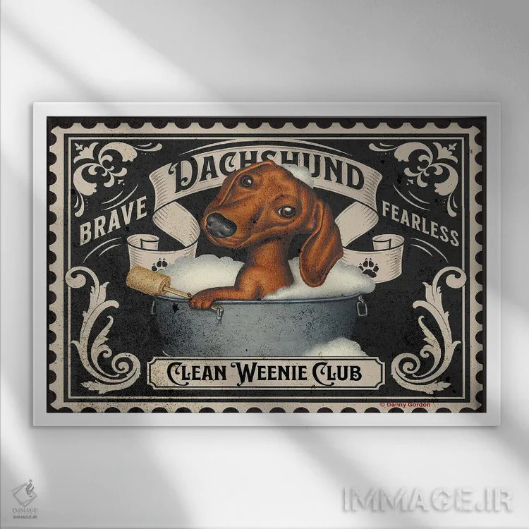 تابلو تمبر داشهوند تمیز اثر دنی گوردون - نمای قابدار سفید