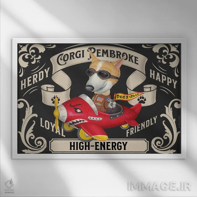 تابلو تمبر افقی کورگی در هواپیمای قرمز اثر دنی گوردون - نمای قابدار سفید