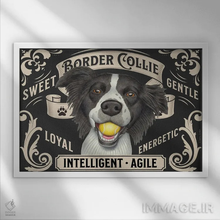 تابلو تمبر افقی بردر کولی با توپ در دهان اثر دنی گوردون - نمای قابدار سفید