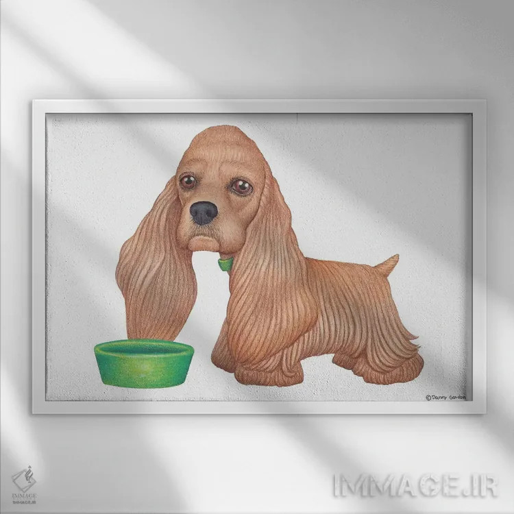 تابلو کاگر اسپانیل اثر دنی گوردون - نمای قابدار سفید