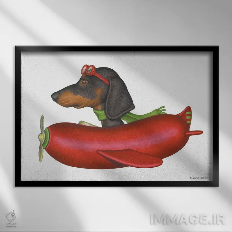 تابلو داشهوند خلبان اثر دنی گوردون - نمای قابدار مشکی