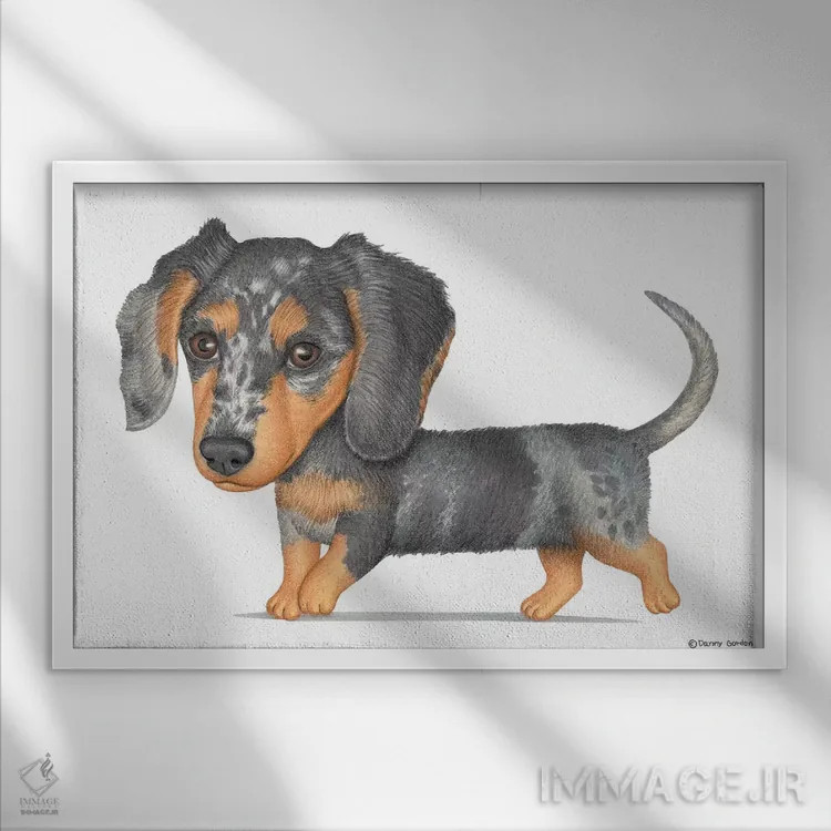 تابلو داشهوند اثر دنی گوردون - نمای قابدار سفید