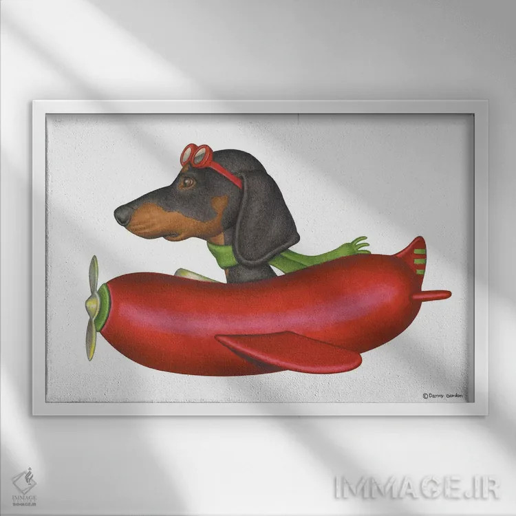 تابلو داشهوند خلبان اثر دنی گوردون - نمای قابدار سفید