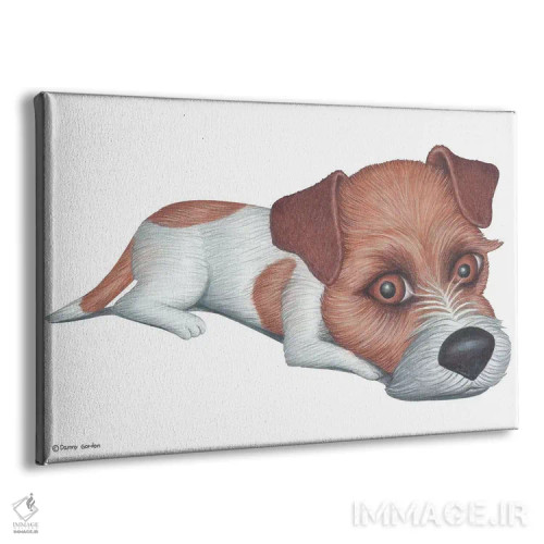 تابلو جک راسل تریر اثر دنی گوردون - نمای پرسپکتیو محصول