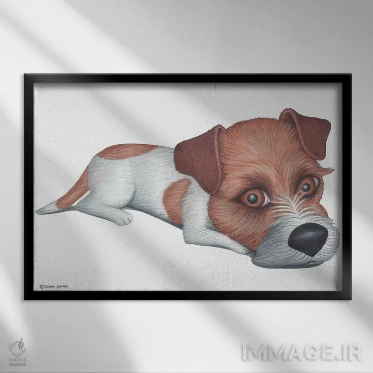 تابلو جک راسل تریر اثر دنی گوردون - نمای قابدار مشکی