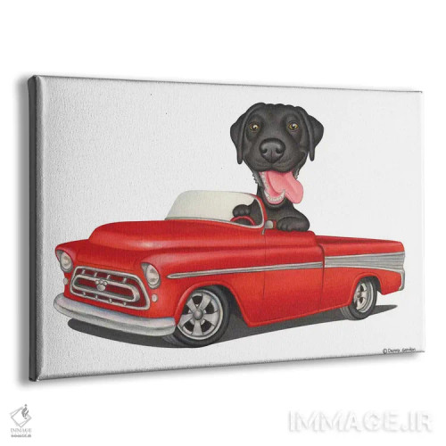 تابلو لابرادور رتریور در ماشین قرمز اثر دنی گوردون - نمای پرسپکتیو محصول
