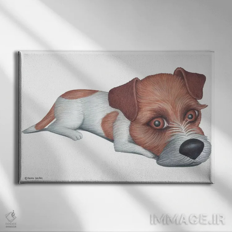 تابلو جک راسل تریر اثر دنی گوردون - نمای روبهرو روی دیوار