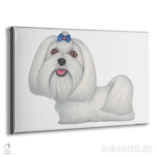 تابلو مالتیز اثر دنی گوردون - نمای پرسپکتیو محصول