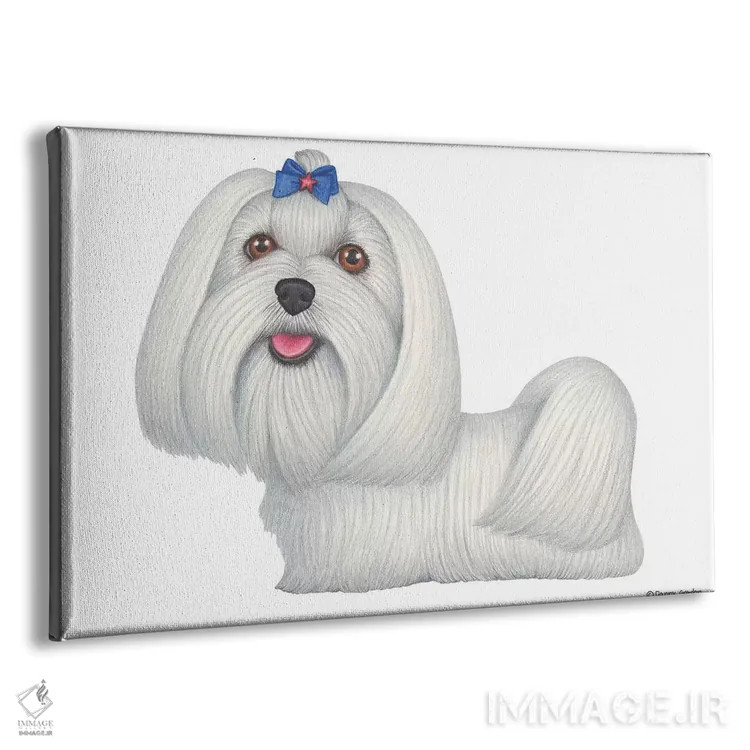 تابلو مالتیز اثر دنی گوردون - نمای پرسپکتیو محصول