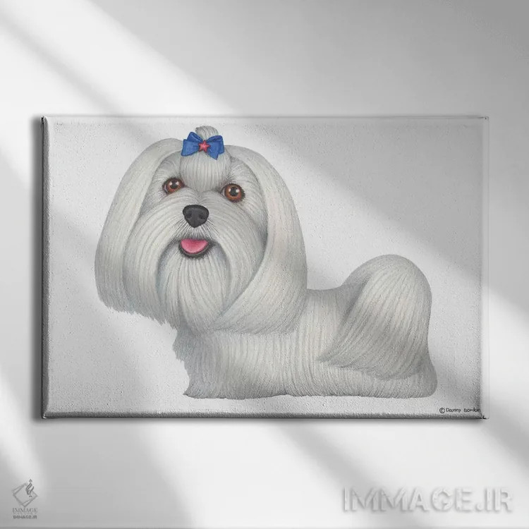 تابلو مالتیز اثر دنی گوردون - نمای روبهرو روی دیوار