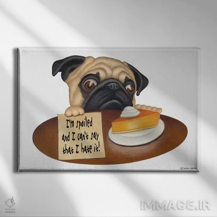 تابلو پاگ: من لوسم اثر دنی گوردون - نمای روبهرو روی دیوار