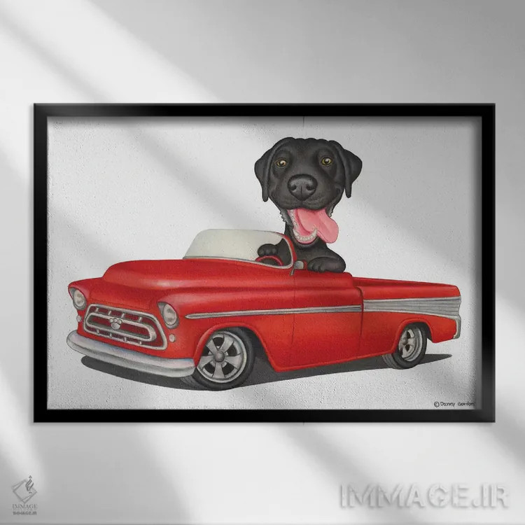 تابلو لابرادور رتریور در ماشین قرمز اثر دنی گوردون - نمای قابدار مشکی