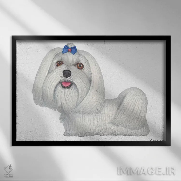 تابلو مالتیز اثر دنی گوردون - نمای قابدار مشکی