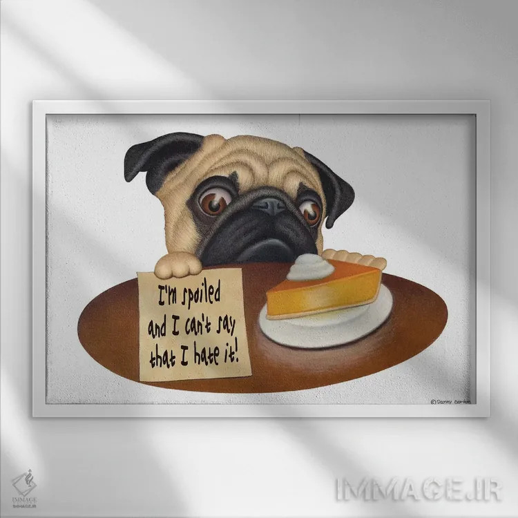 تابلو پاگ: من لوسم اثر دنی گوردون - نمای قابدار سفید