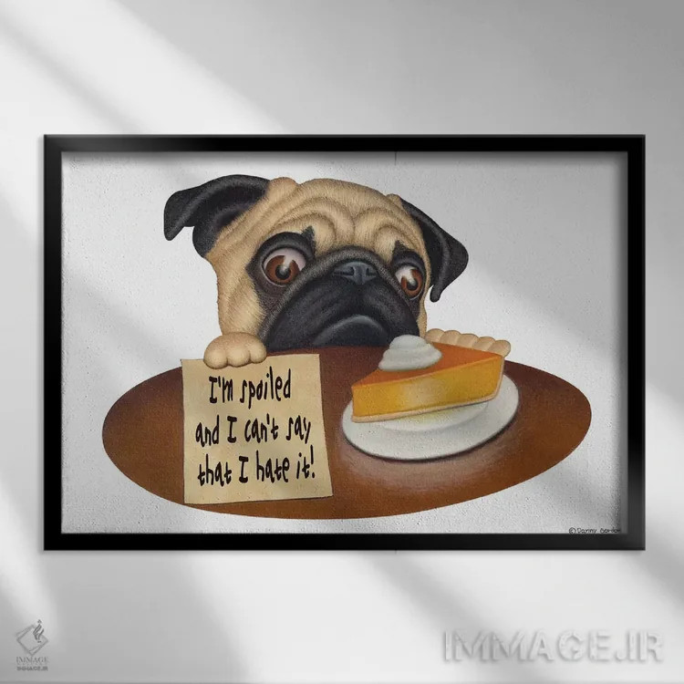 تابلو پاگ: من لوسم اثر دنی گوردون - نمای قابدار مشکی