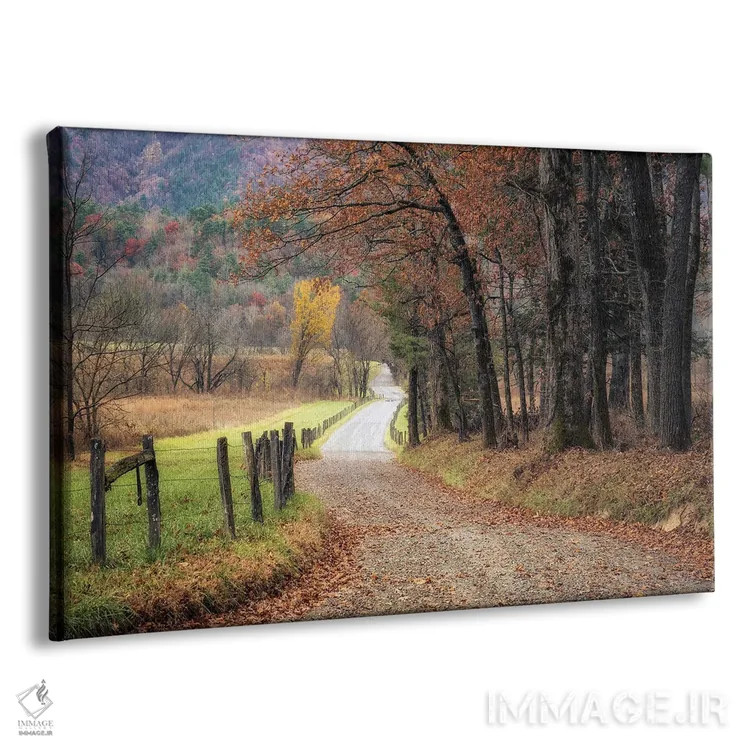 تابلو رانندگی پاییزی ۱ اثر دنی هد - نمای پرسپکتیو محصول