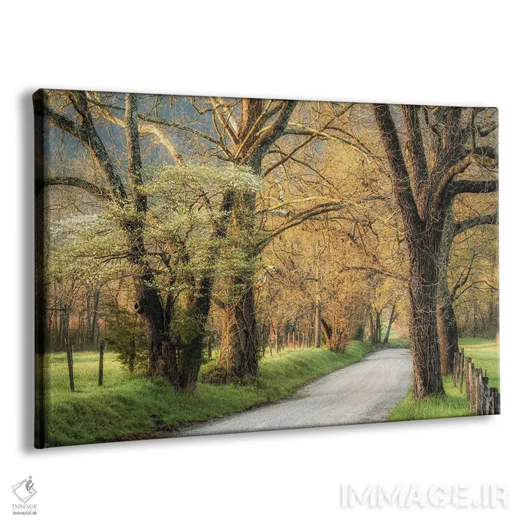 تابلو درختان دروغود (گلابی وحشی آمریکایی) اثر دنی هد - نمای پرسپکتیو محصول