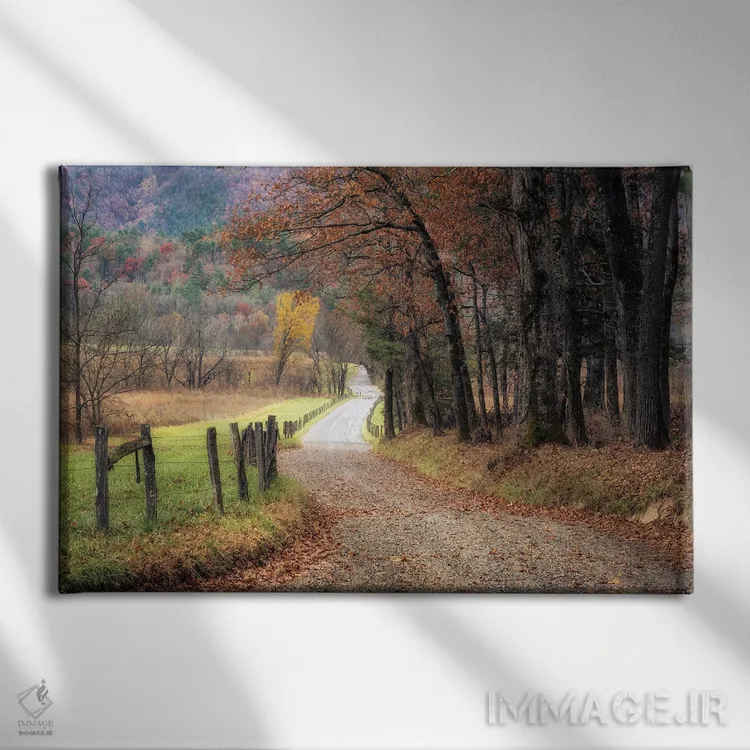 تابلو رانندگی پاییزی ۱ اثر دنی هد - نمای روبهرو روی دیوار