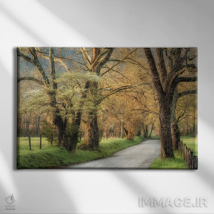 تابلو درختان دروغود (گلابی وحشی آمریکایی) اثر دنی هد - نمای روبهرو روی دیوار