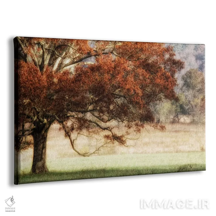 تابلو بلوط آفتابگرفته ۲ اثر دنی هد - نمای پرسپکتیو محصول