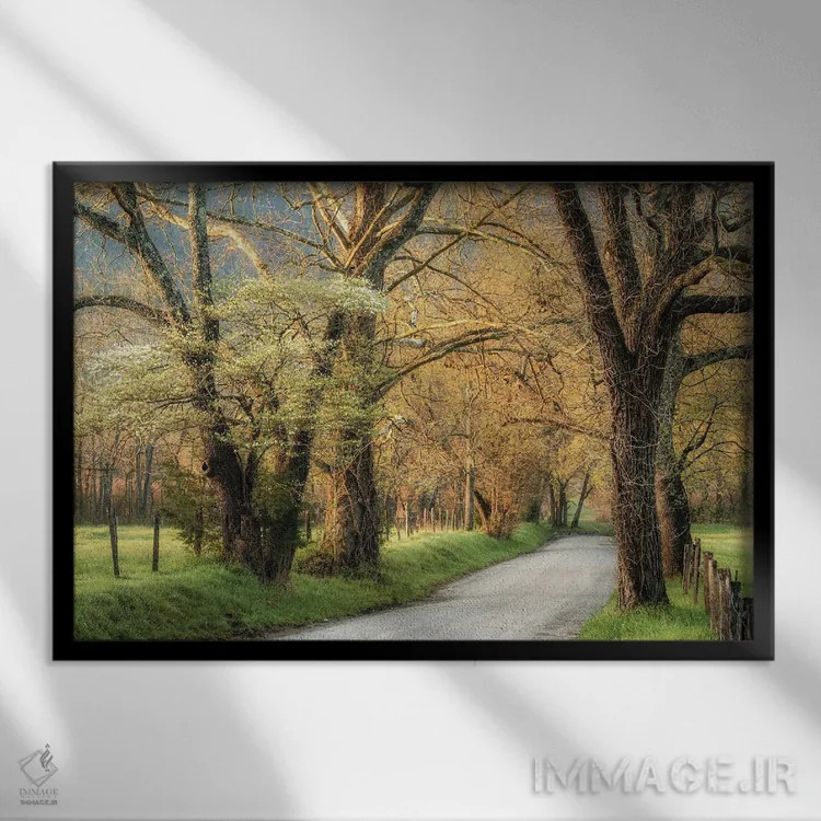 تابلو درختان دروغود (گلابی وحشی آمریکایی) اثر دنی هد - نمای قابدار مشکی