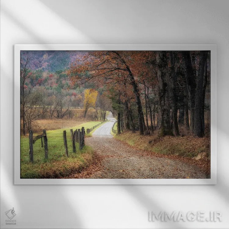 تابلو رانندگی پاییزی ۱ اثر دنی هد - نمای قابدار سفید