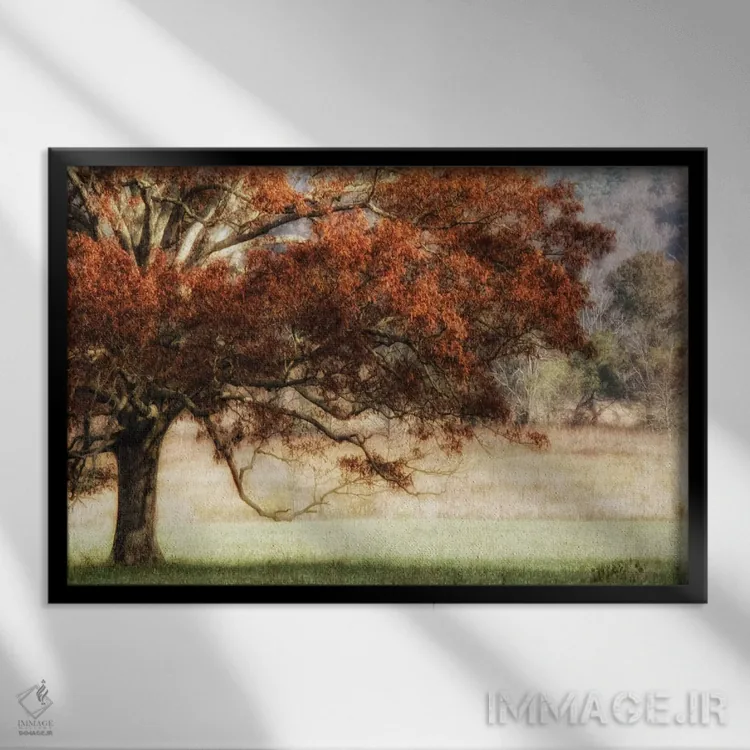 تابلو بلوط آفتابگرفته ۲ اثر دنی هد - نمای قابدار مشکی