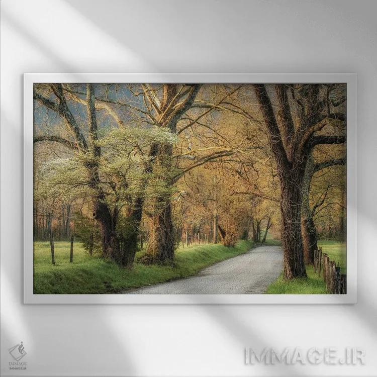 تابلو درختان دروغود (گلابی وحشی آمریکایی) اثر دنی هد - نمای قابدار سفید