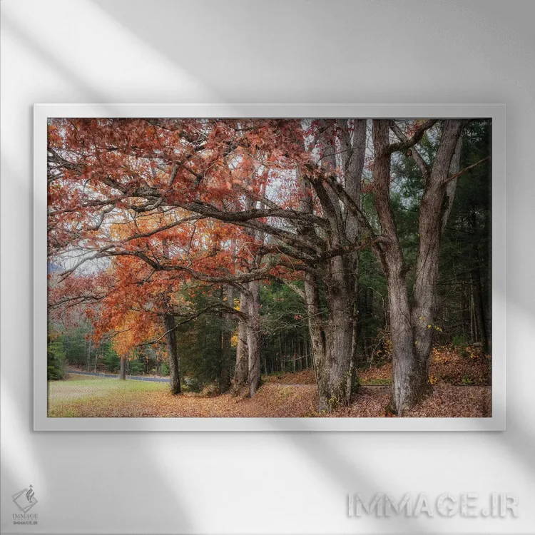 تابلو رانندگی پاییزی ۲ اثر دنی هد - نمای قابدار سفید