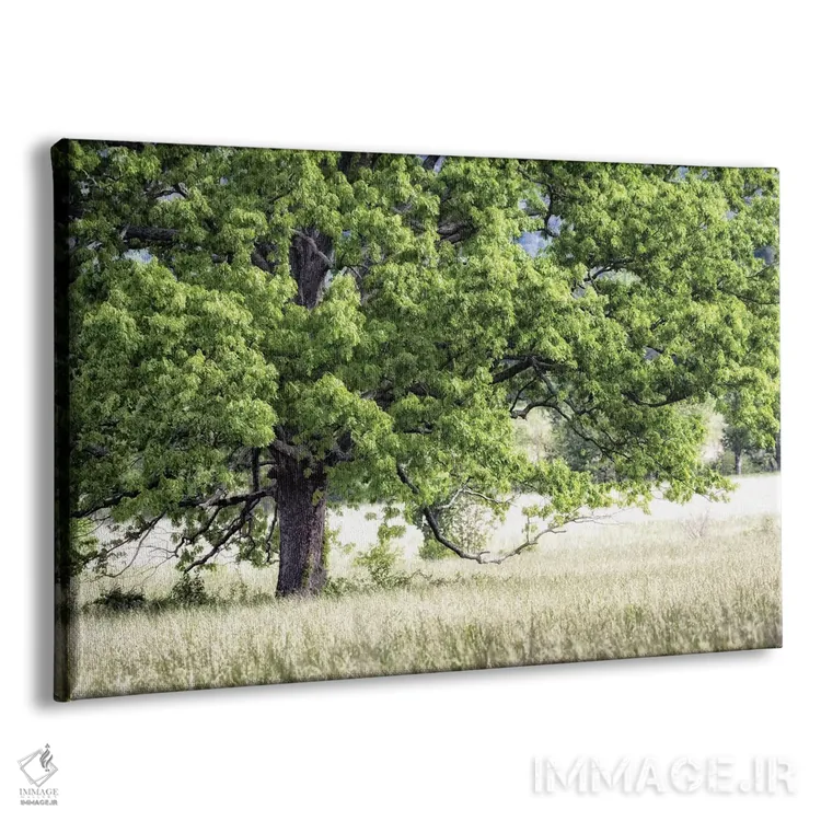 تابلو درخت در تابستان اثر دنی هد - نمای پرسپکتیو محصول