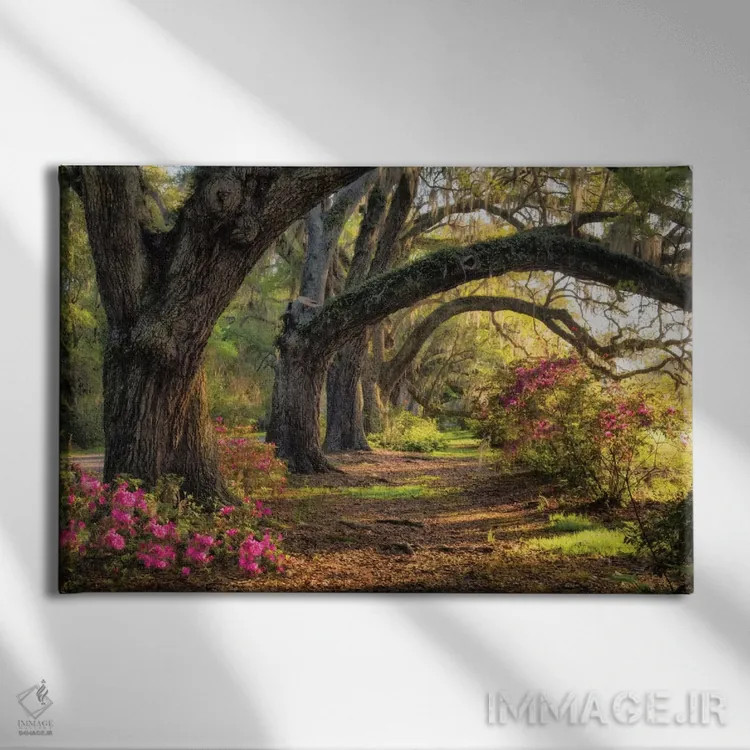 تابلو زیر بلوطهای همیشه سبز ۱ اثر دنی هد - نمای روبهرو روی دیوار