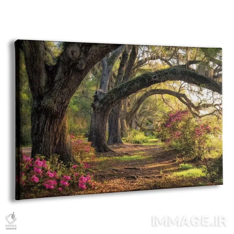 تابلو زیر بلوطهای همیشه سبز ۱ اثر دنی هد - نمای پرسپکتیو محصول