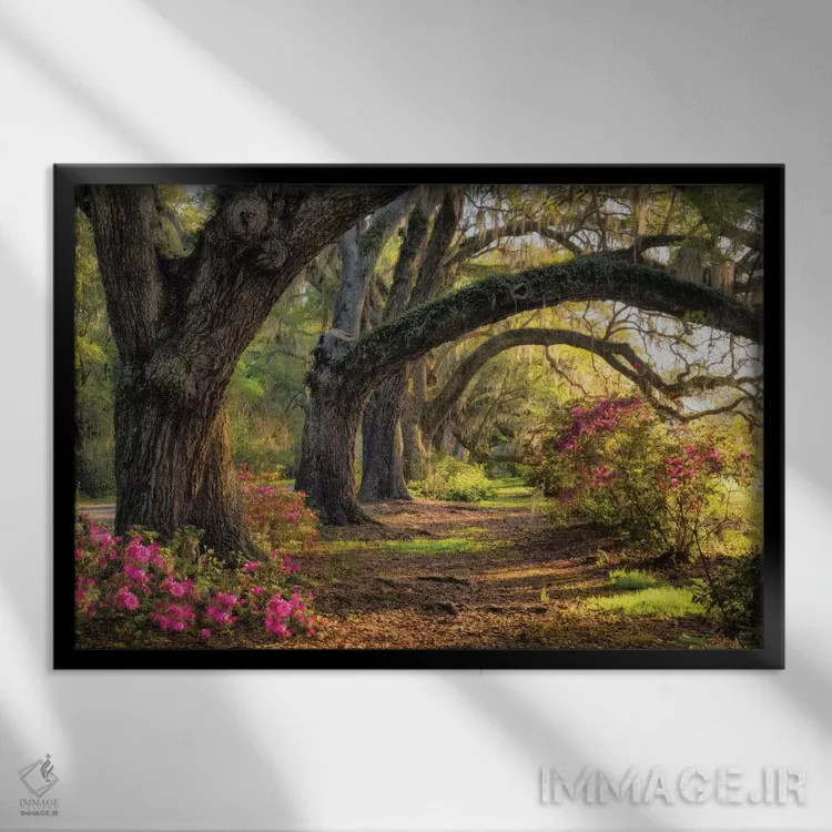 تابلو زیر بلوطهای همیشه سبز ۱ اثر دنی هد - نمای قابدار مشکی