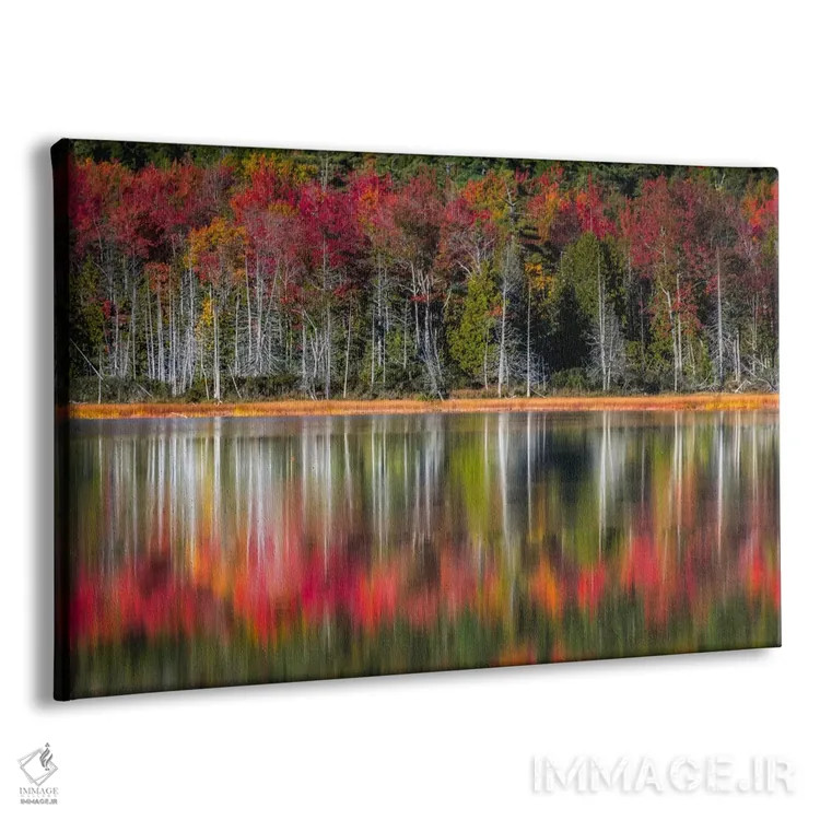 تابلو انعکاسهای پاییزی اثر دنی هد - نمای پرسپکتیو محصول