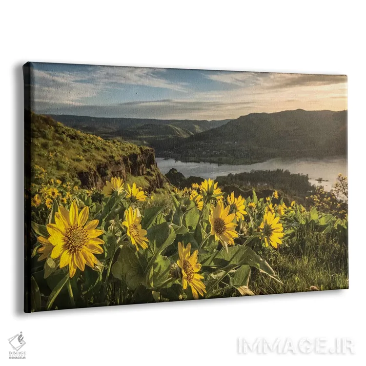 تابلو گرم شدن زیر آفتاب اثر دنی هد - نمای پرسپکتیو محصول