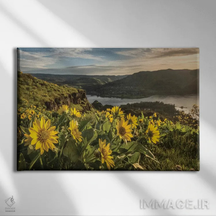 تابلو گرم شدن زیر آفتاب اثر دنی هد - نمای روبهرو روی دیوار